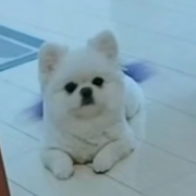 8023❤️许你一世的头像