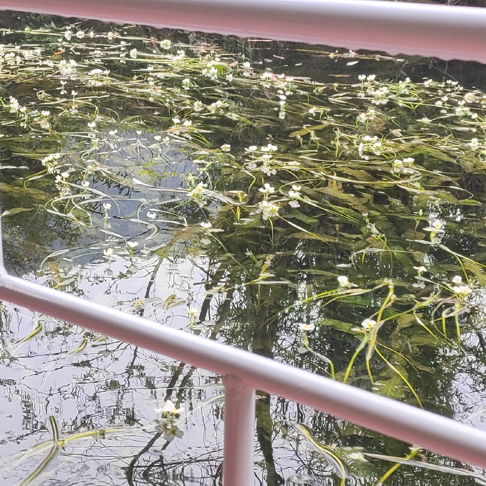 Su.⁵₂₀海报
