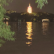 懒懒的我d