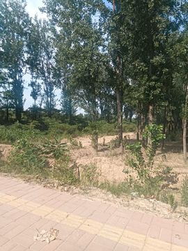 人生没有什么意义主播照片