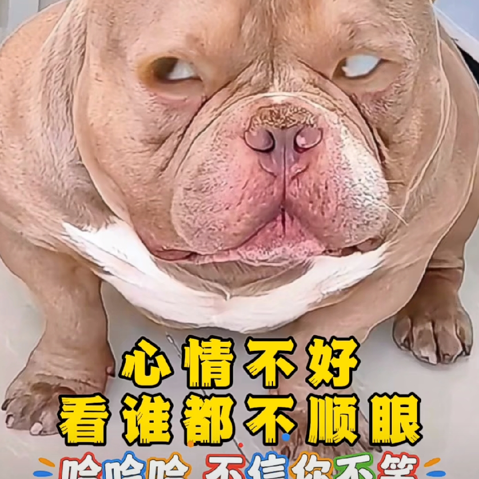 🔥华哥🔥海报