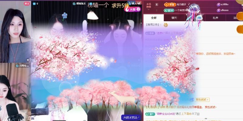 养只鹿主播图片