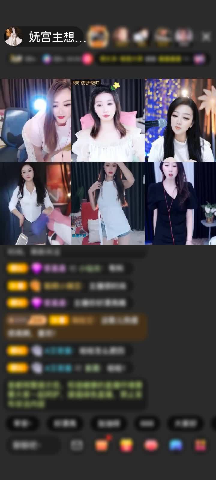 初識老北鼻的寵愛
