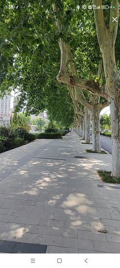婷婷💕求过月底任务主播照片
