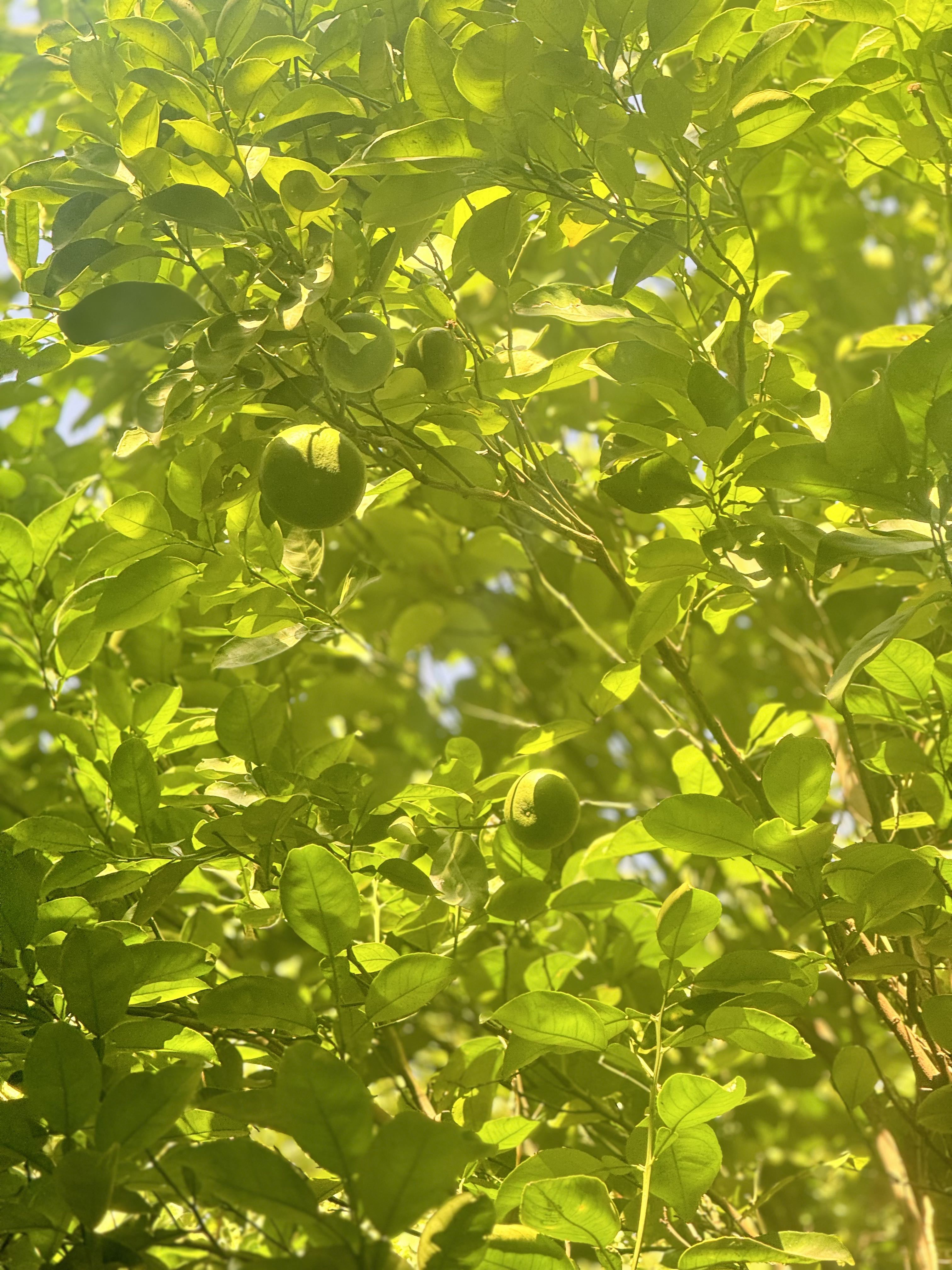 小蝶👑～主播图片