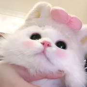 新人宝宝～