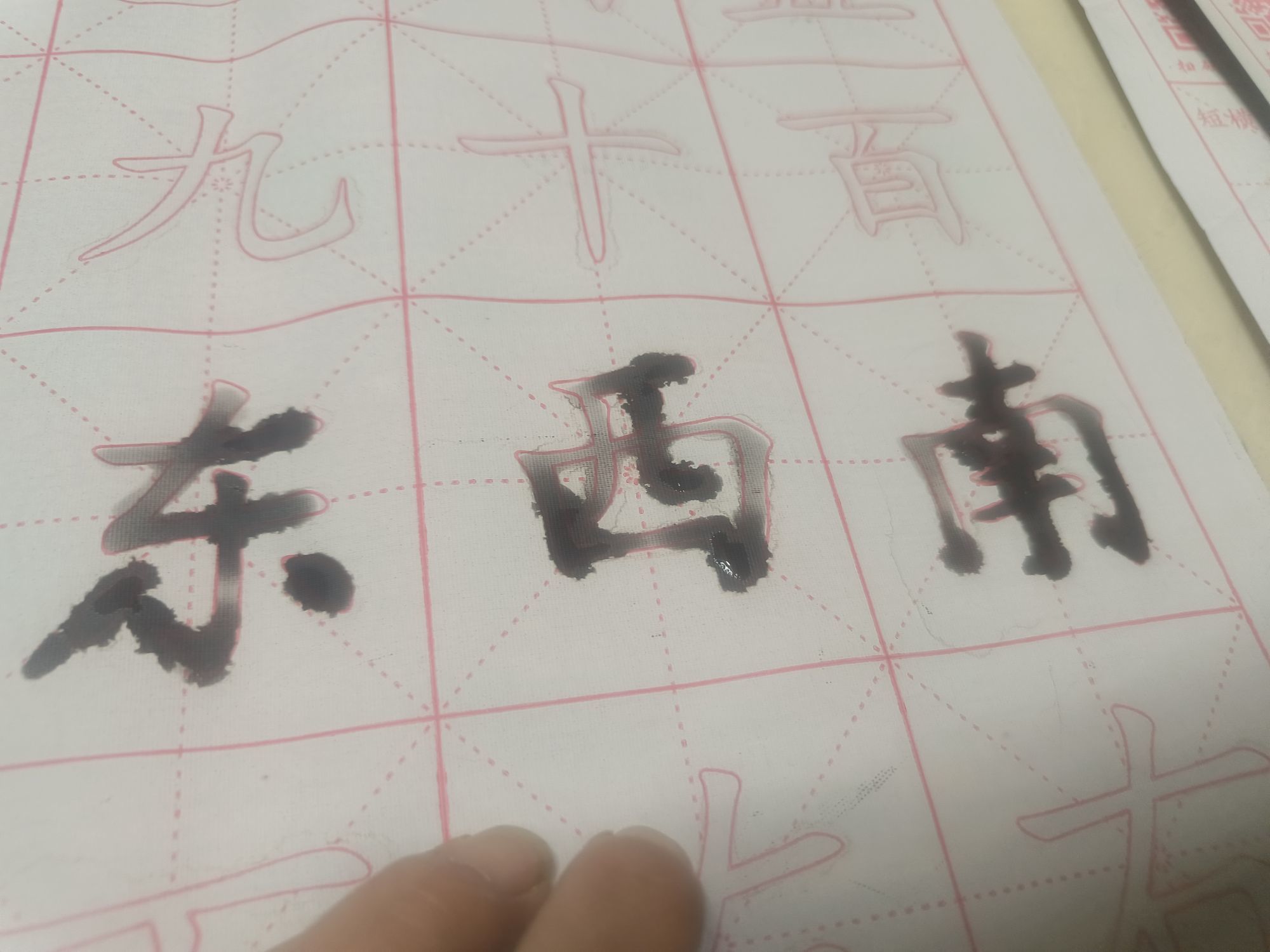 ゛✿洛洛✿的图片
