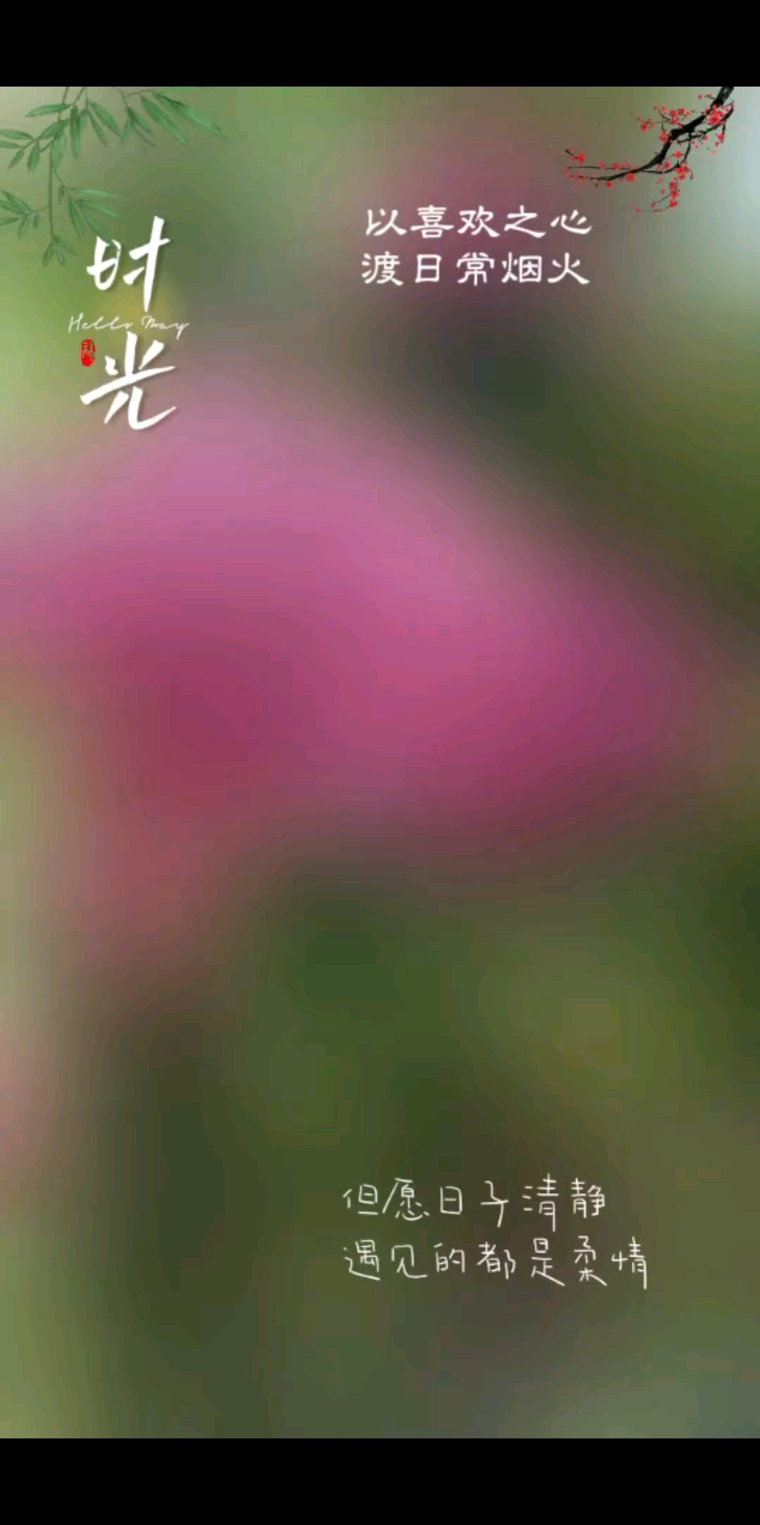 但愿日子清静💕遇见的
