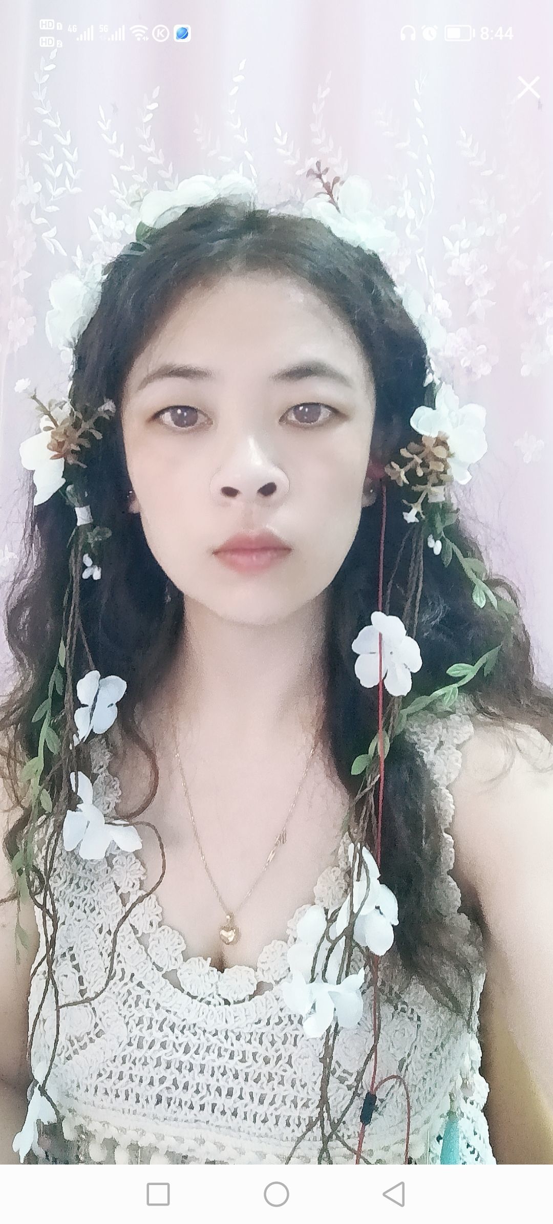 安然晚八点的图片