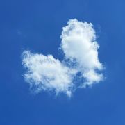 云不狂618的头像