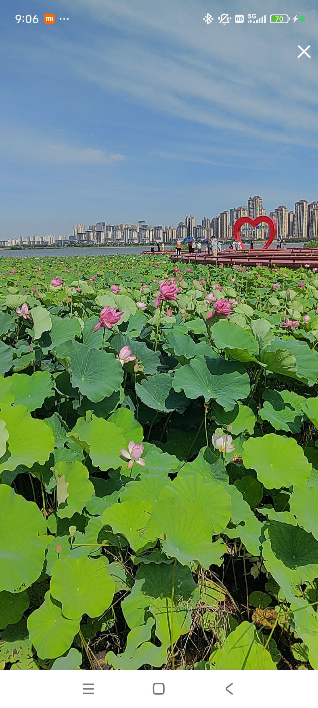 婷婷💕感恩有你陪伴的图片