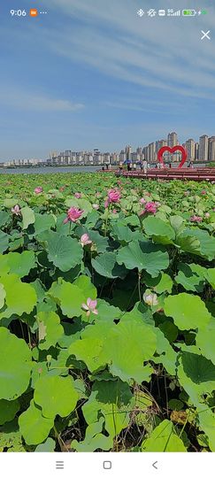 婷婷💕求过月底任务主播照片