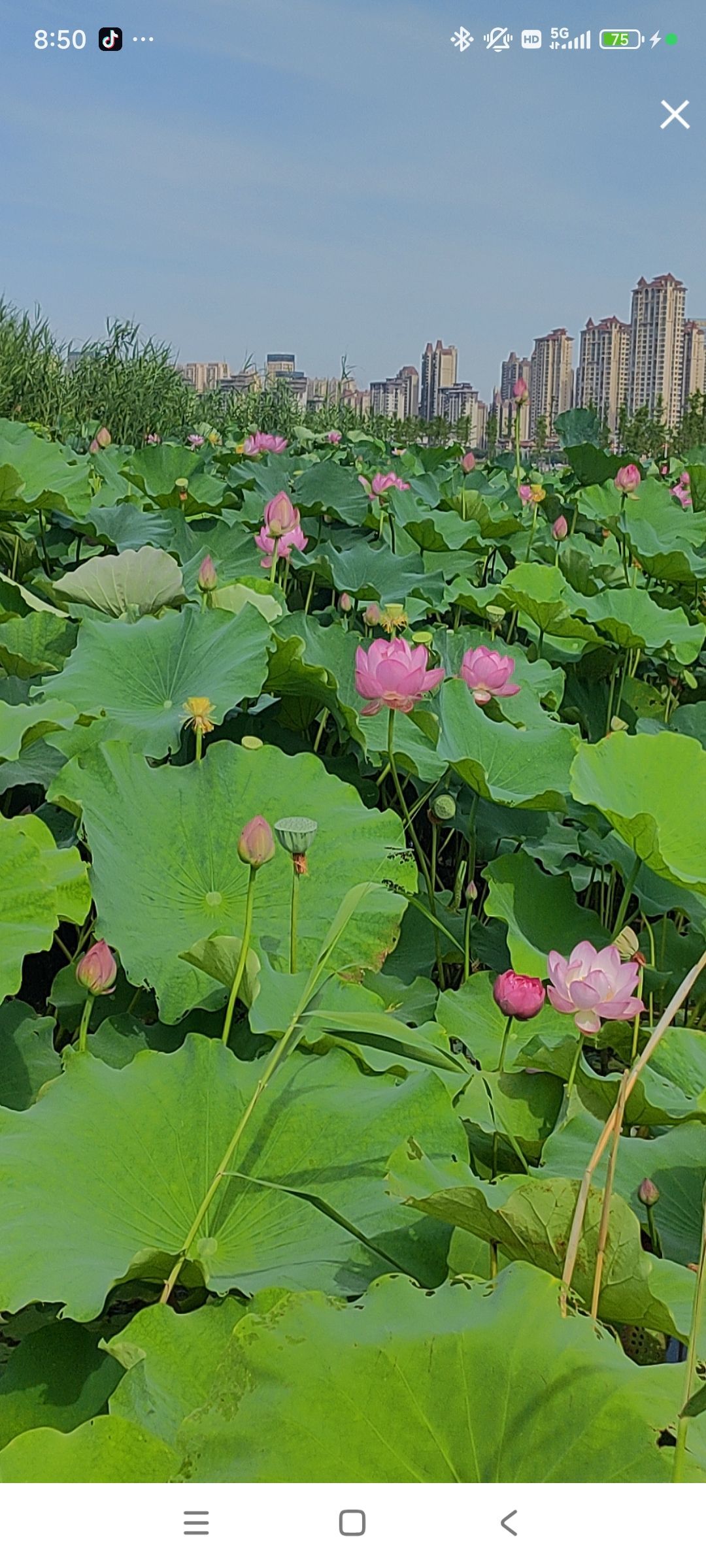 婷婷💕感恩有你陪伴的图片