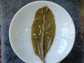 茶茶幸运星主播照片