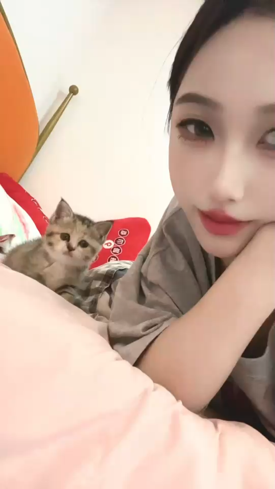 小猫x小猫