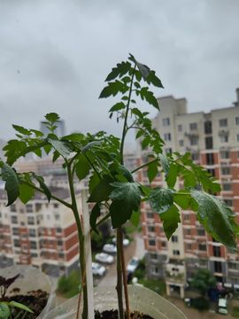 婷婷💕求过月底任务主播照片
