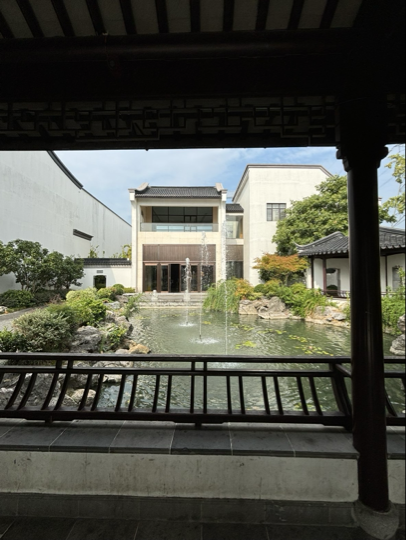 疏影飞扬海报