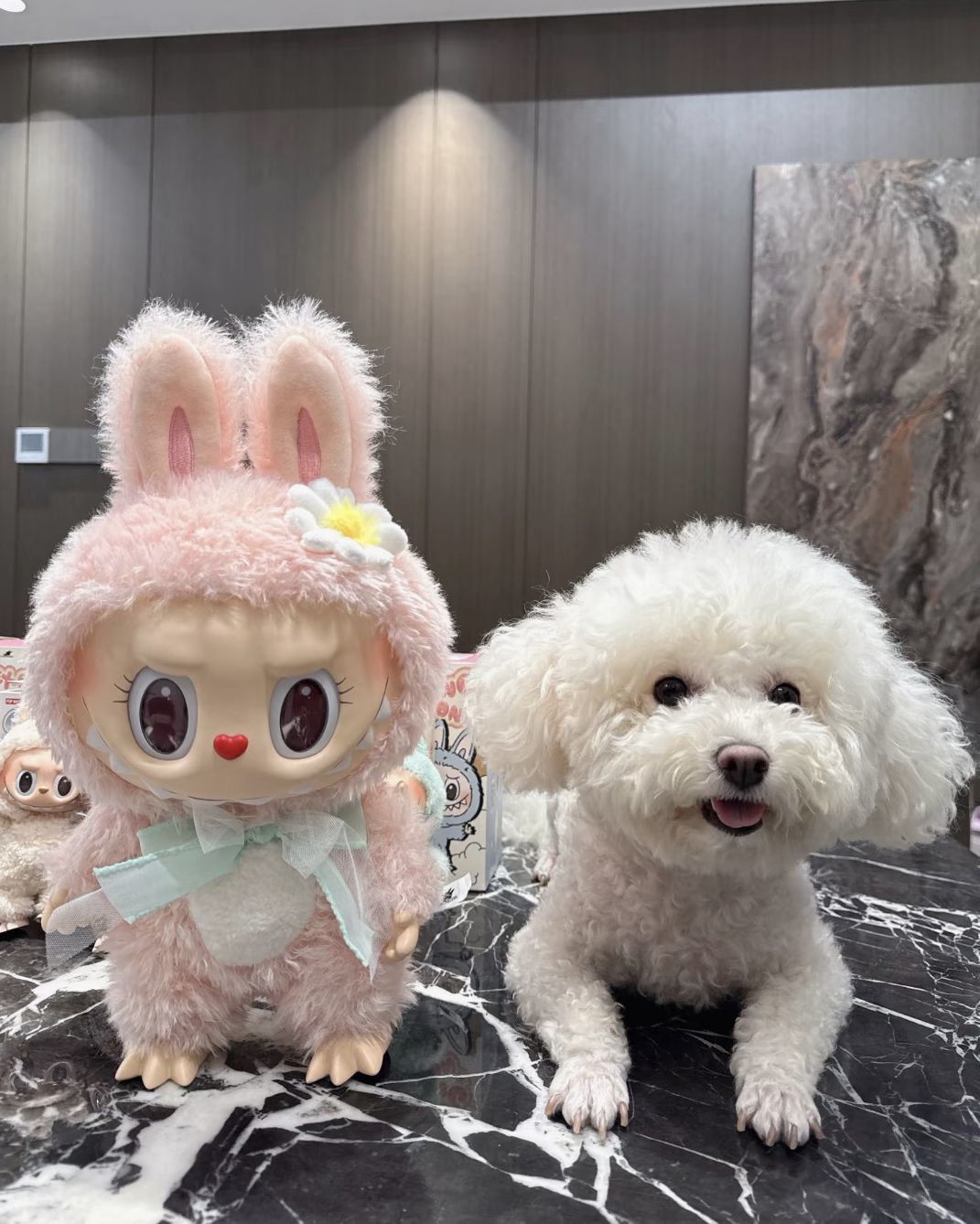 困困晚的图片