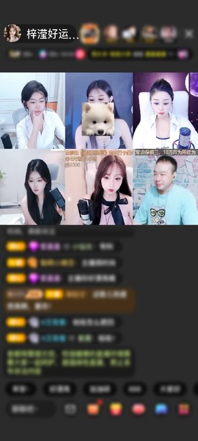 感谢没人要的游客赠送上缴工资1个