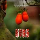 李国印zv
