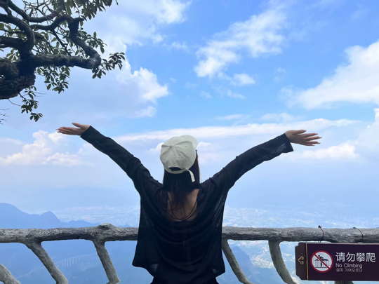 风一样得自由海报