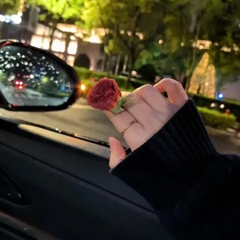 心羽🌻休主播照片