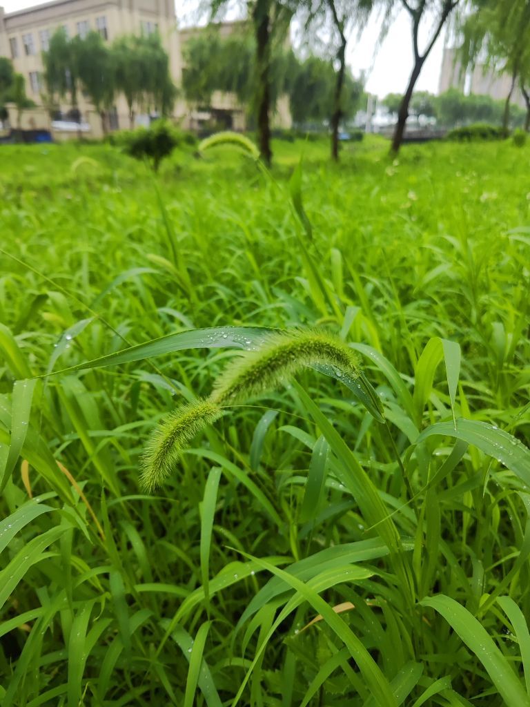 婷婷💕求过月底任务的图片