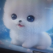 丟三落四就找你