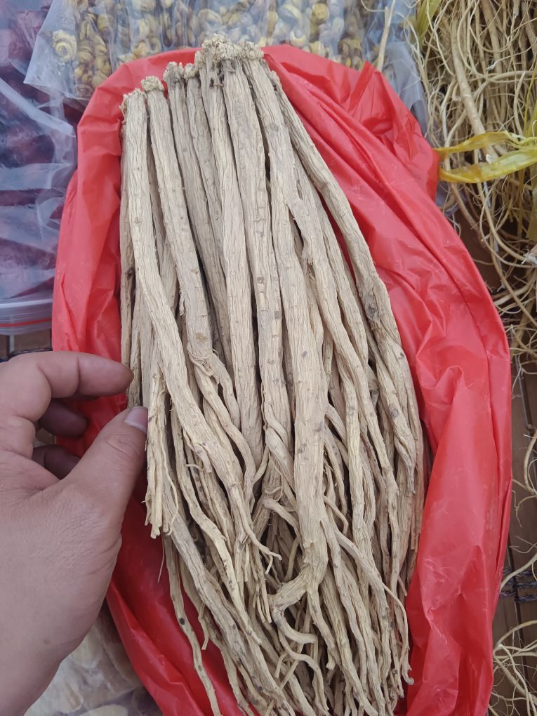 可爱小熊熊的图片