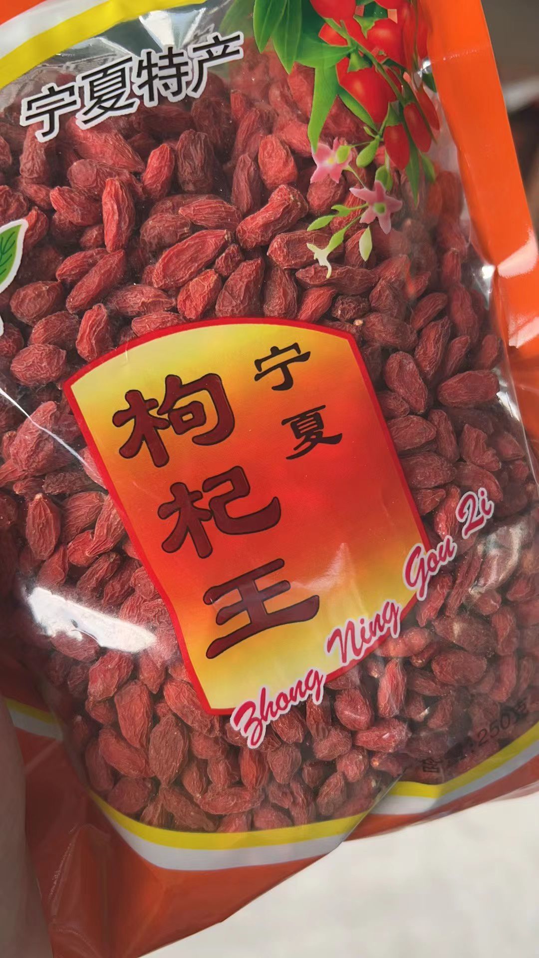 可爱小熊熊的图片