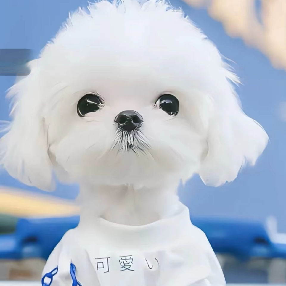 ☻吴媛☻海报