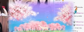 白Y鸭。今晚不播主播照片