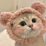 起点👍