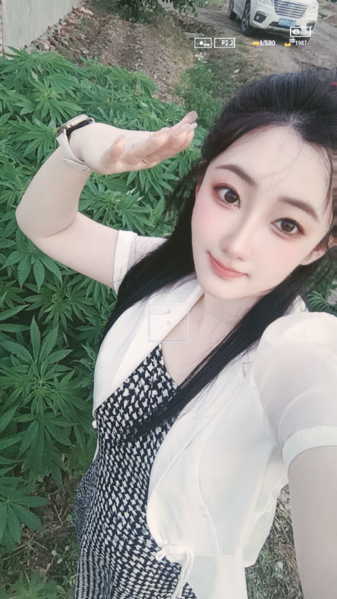 粮芯恭贺独狂哥帝圣的图片