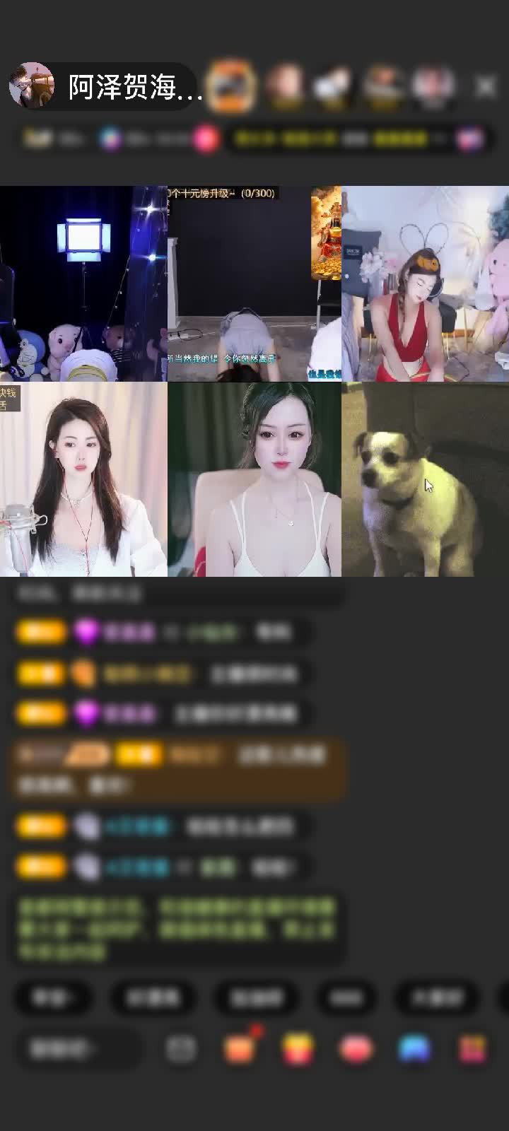 感谢你象是我老公吗赠送冰雪女王1个