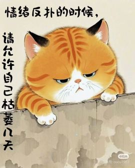莫言，六月求善待！主播照片