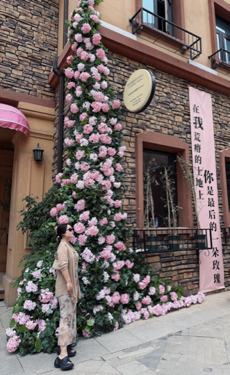 麦兜✨饿死了海报