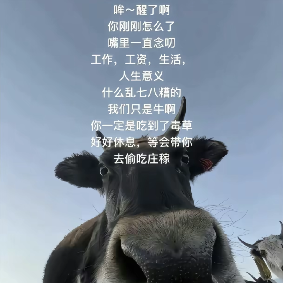 福鹭年年今晚休海报