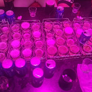 撑伞亦是雨中人