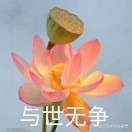 平安幸福(劉宗紅)??的頭像
