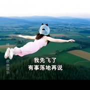主播又飞了