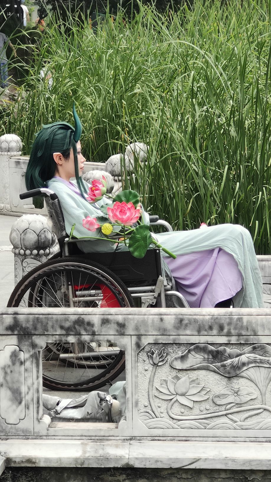 枯荷@聽雨主播圖片
