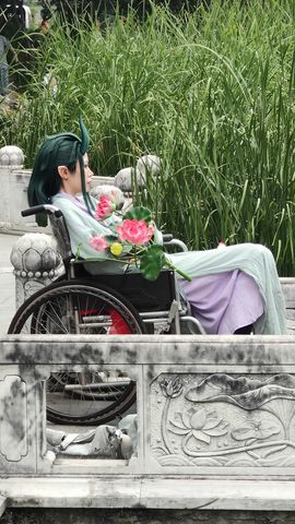 枯荷@听雨主播照片