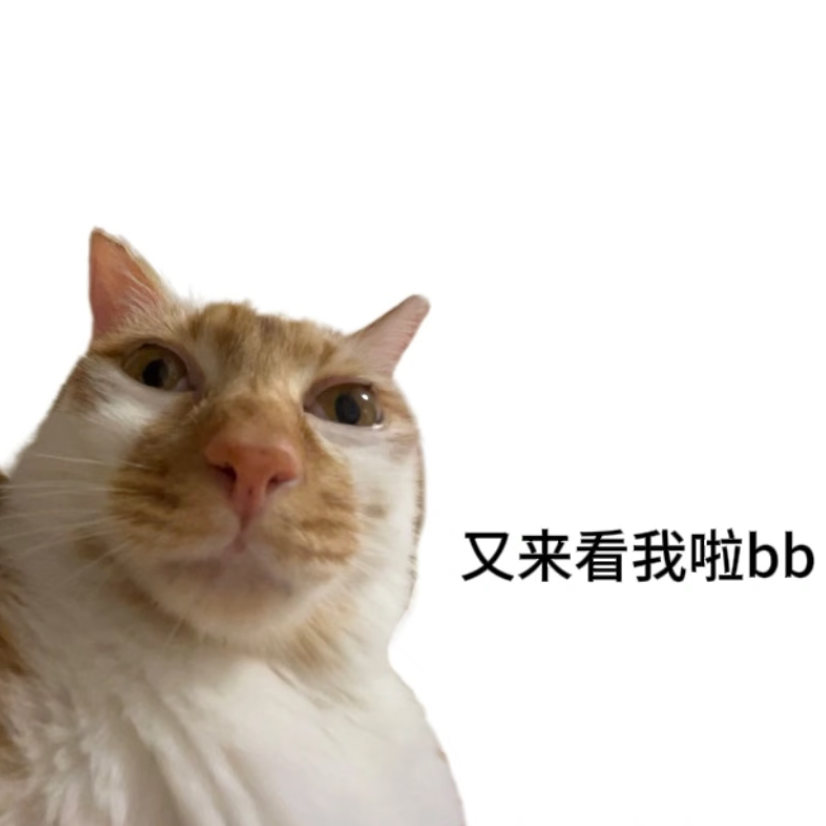 🦊悟空海报