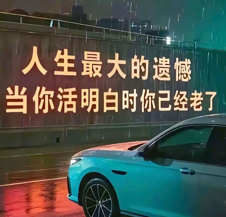 萌新宝宝cbll的图片