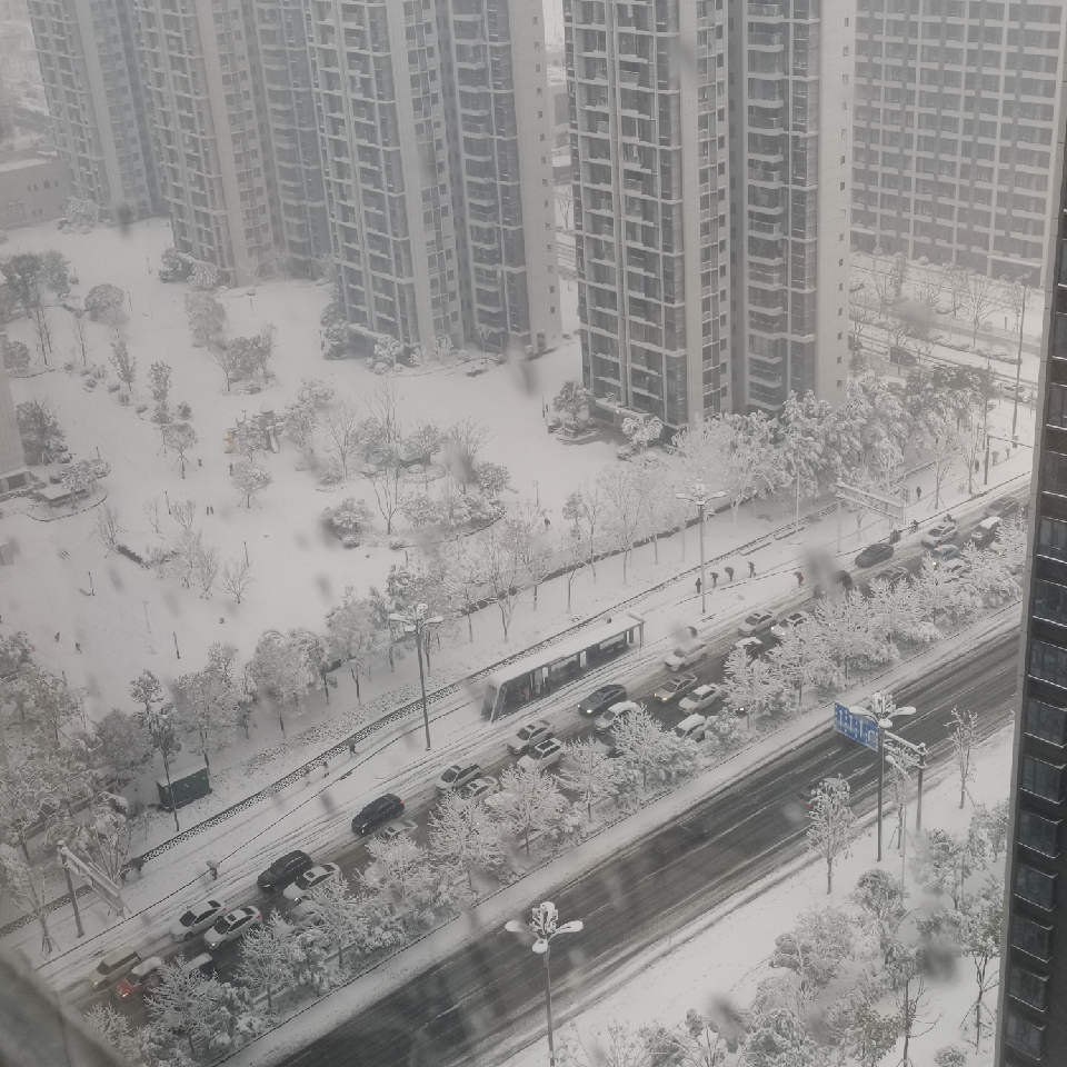 无名的派大星海报