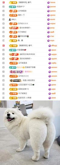 陈慧慧🥕早10晚8主播照片