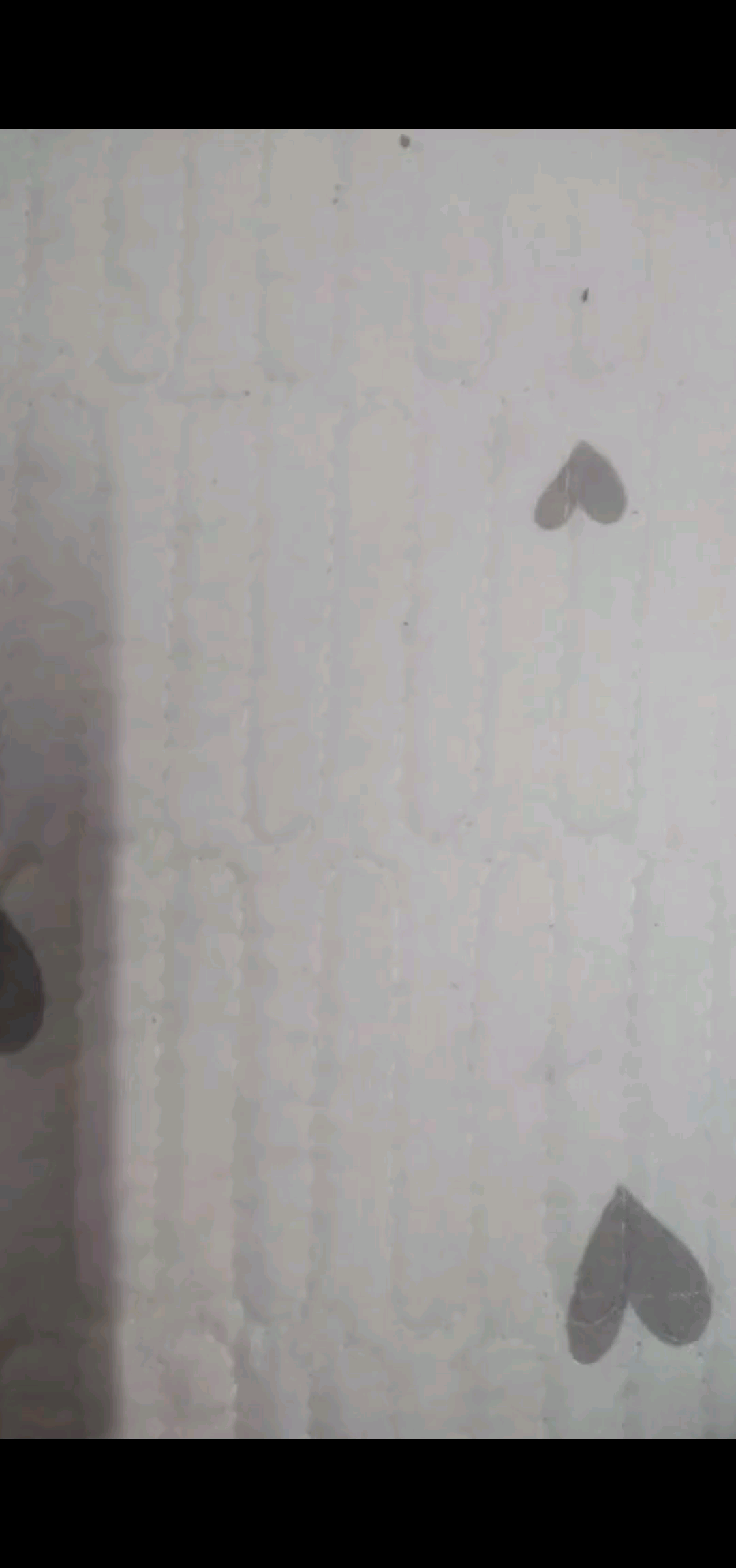 歌界王海燕她老爷给我