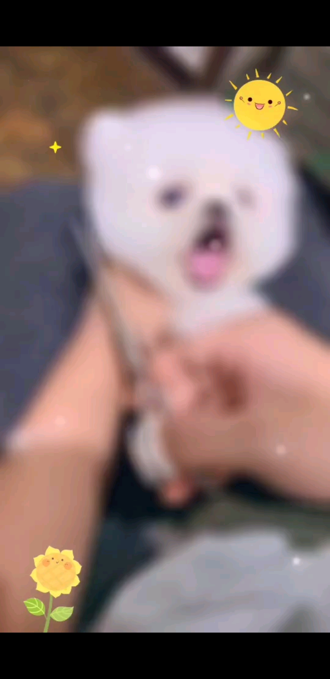 今日化身托尼七号清清