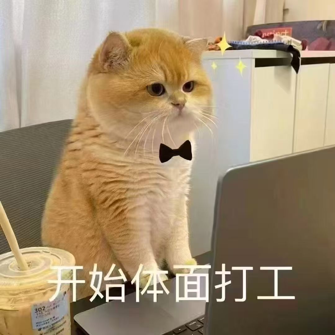 新人小馨吖主播圖片